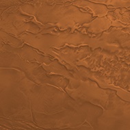 Ancient Amber